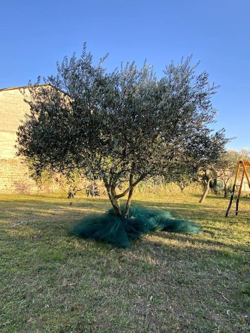 Le Nomade En Provence Bed & Breakfast Bouchet  Exterior foto