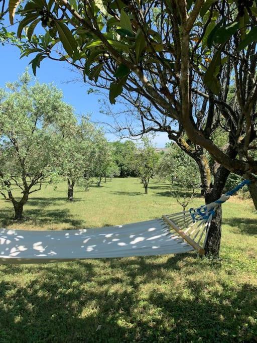 Le Nomade En Provence Bed & Breakfast Bouchet  Exterior foto