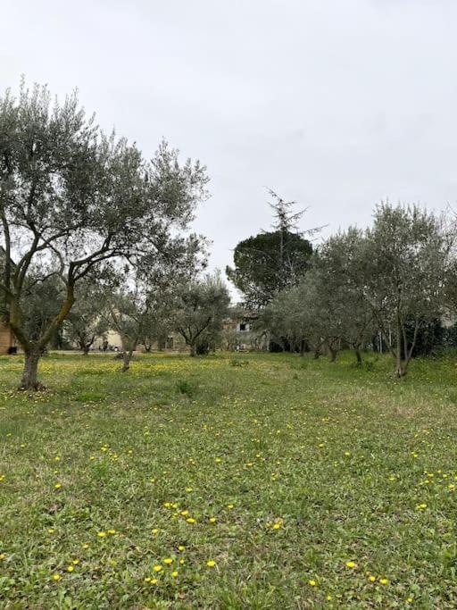 Le Nomade En Provence Bed & Breakfast Bouchet  Exterior foto